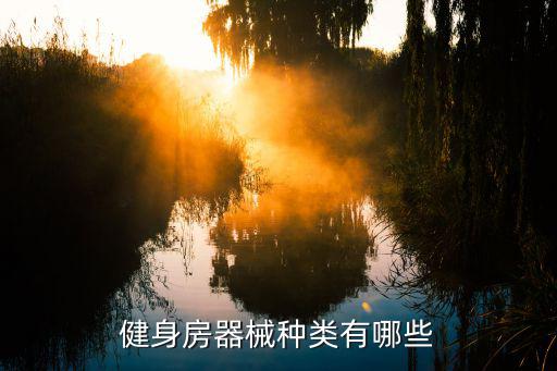 健身器健身房常备器材有哪些？(图3)