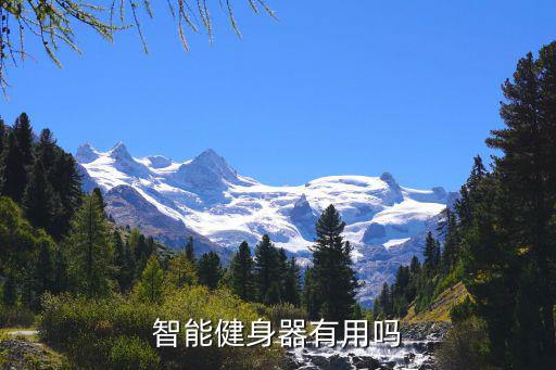 健身器健身房常备器材有哪些？(图2)