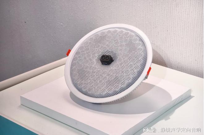 健身房定向音响：活力四射的精准声浪(图2)