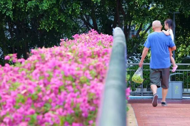 厦门：民生保障不断提升居民安居乐业期望寿命达8242岁(图4)