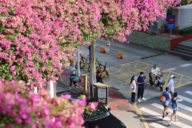 厦门：民生保障不断提升居民安居乐业期望寿命达8242岁(图2)