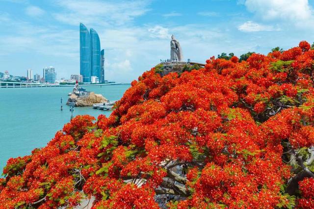 厦门：民生保障不断提升居民安居乐业期望寿命达8242岁(图3)