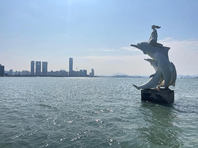 厦门：民生保障不断提升居民安居乐业期望寿命达8242岁(图9)