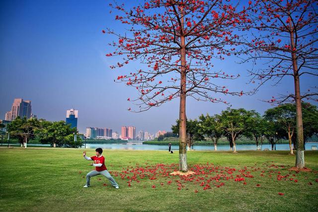 厦门：民生保障不断提升居民安居乐业期望寿命达8242岁(图10)