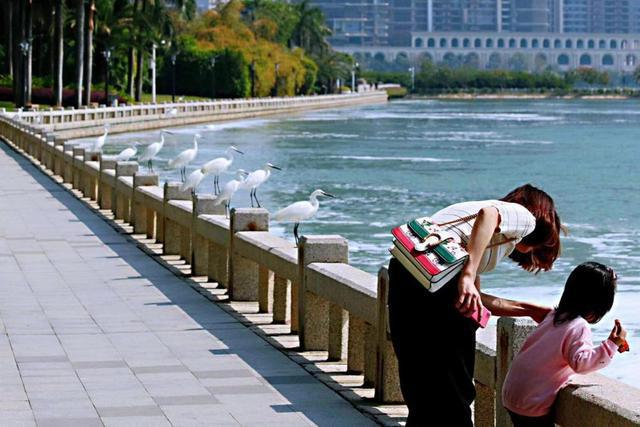 厦门：民生保障不断提升居民安居乐业期望寿命达8242岁(图8)