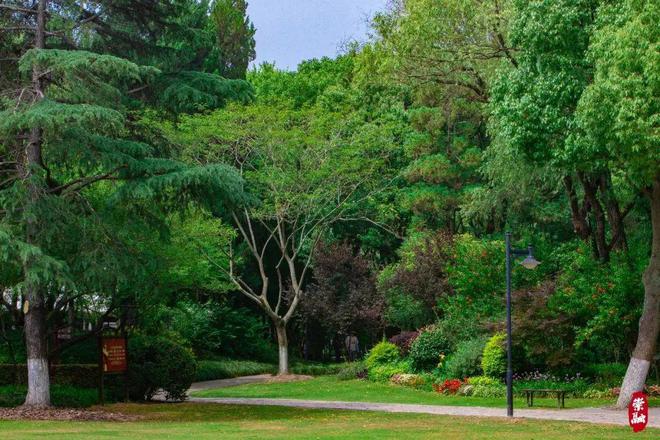 在崇明区体育馆解锁运动健康生活新方式(图6)