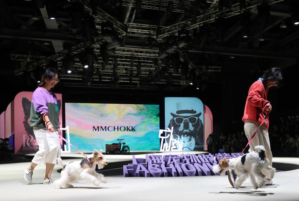 精细养宠渐成潮流中国宠物市场持续升温(图2)