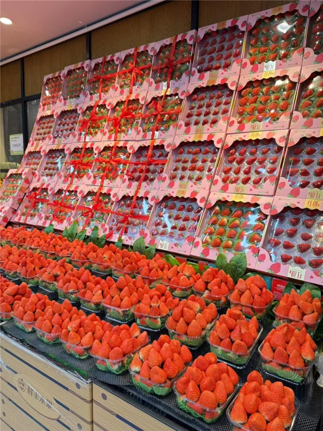 鲜丰水果刮起“蓝色风暴”蓝莓浆果引领健康水果消费风潮