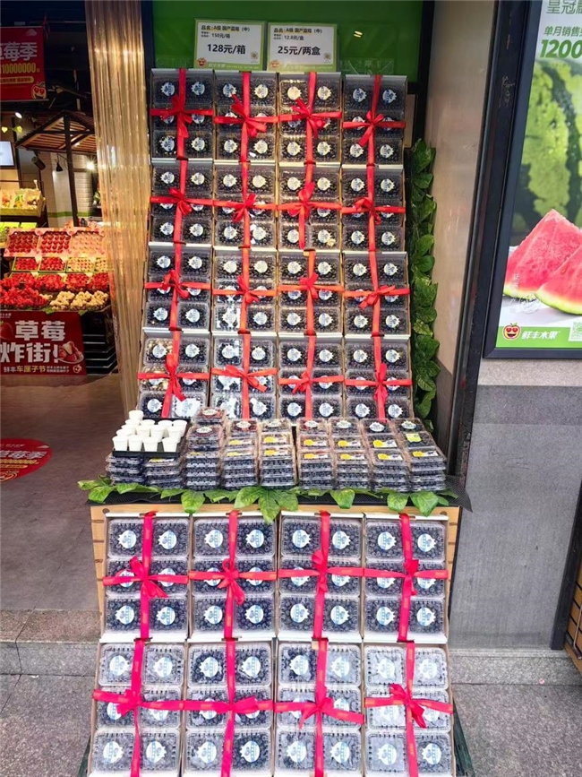 鲜丰水果刮起“蓝色风暴”蓝莓浆果引领健康水果消费风潮(图2)