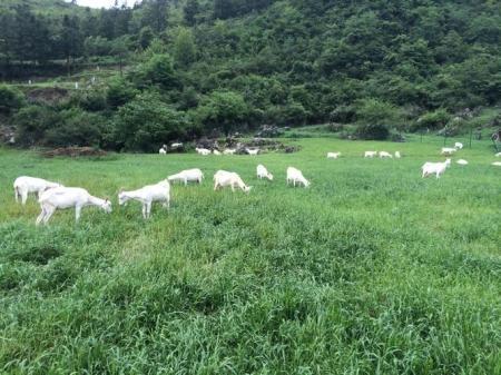 淳珍100：健康新选择尽在有机生活中