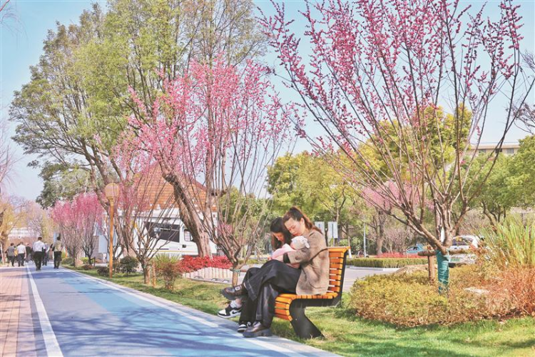 这一环重塑“龟背城”！(图4)