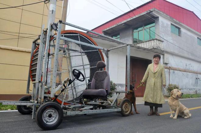 狗狗精力旺盛！滕州牛人自制“狗狗跑步机”爆红网络(图2)