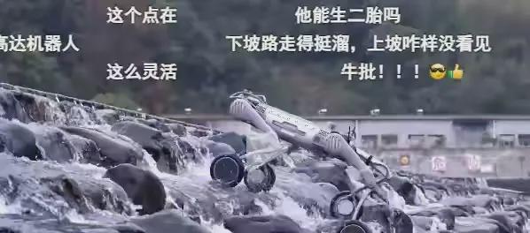 张艺谋指挥机械太奶上春晚厉害了(图11)