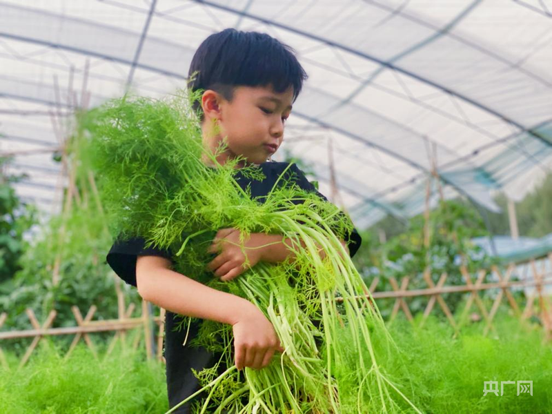 北京顺义“峪马”：赛事背后的产城“破圈”密码(图8)