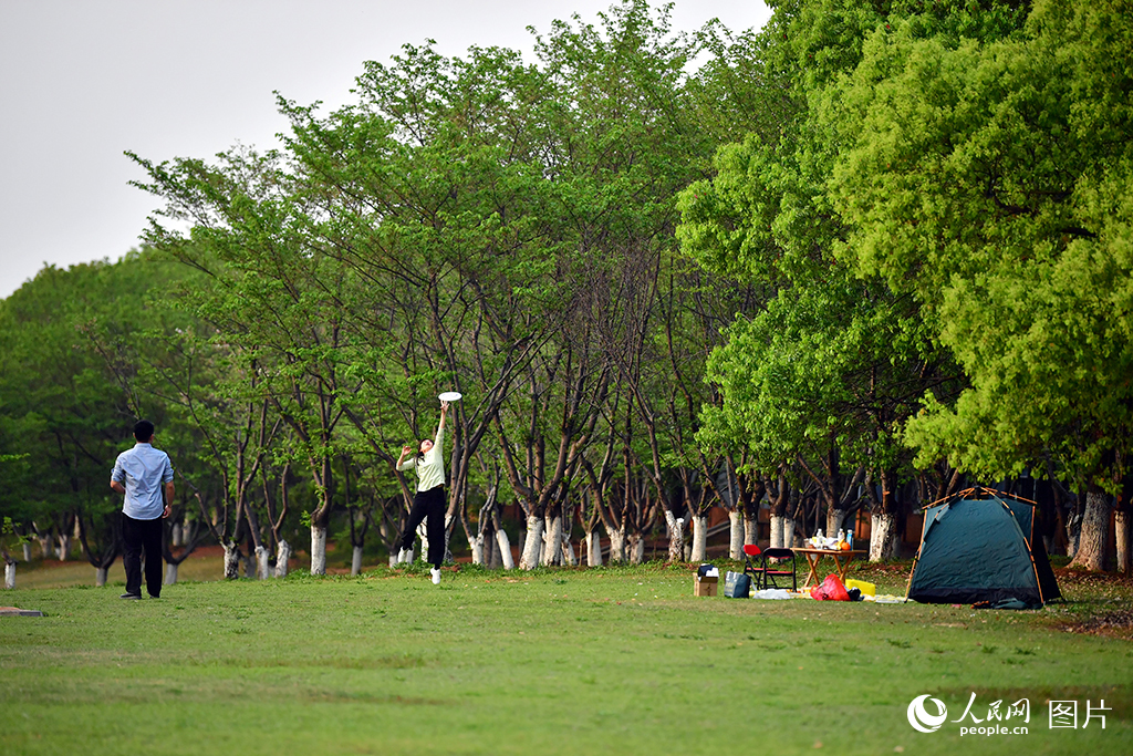 运动让生活更健康(图10)