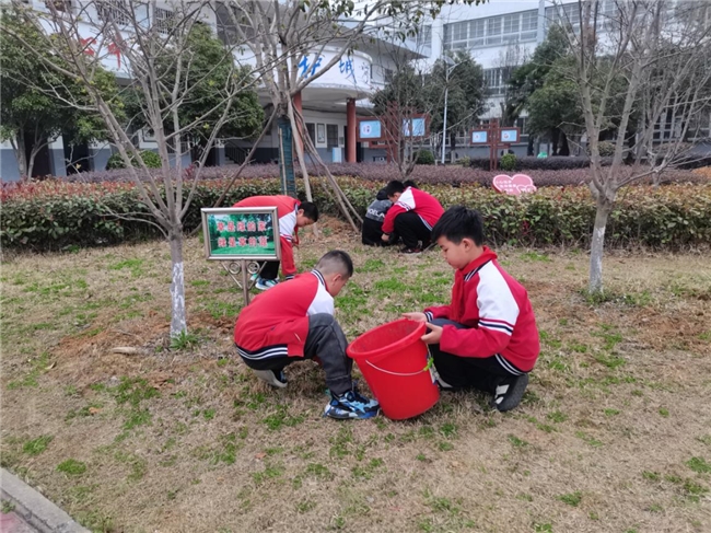 Pg电子网站：怀宁县马庙镇中心学校：爱卫新篇章健康心生活