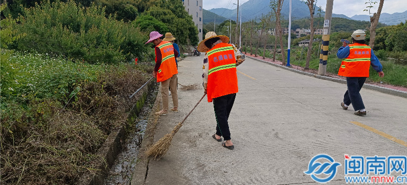 诏安官陂：全民爱卫齐行动健康生活“驻”心间(图2)