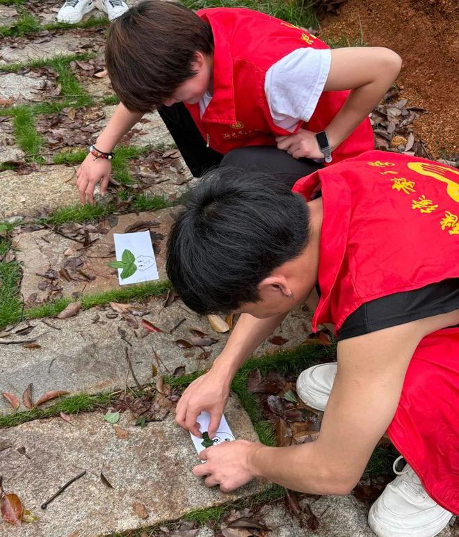 Pg电子：壹周汇小满初成希望渐盛(图13)