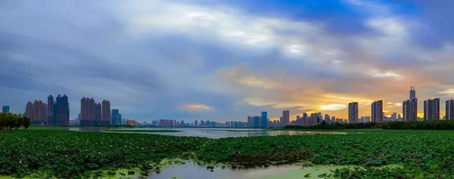 武汉·建发望湖-售楼处(2025建发望湖)网站-楼盘百科-武汉新房(图10)