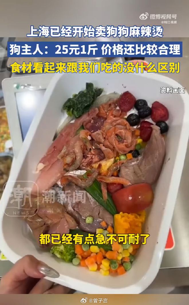 破防了！上海惊现狗狗麻辣烫25一斤全是真肉上海狗有福了！(图9)