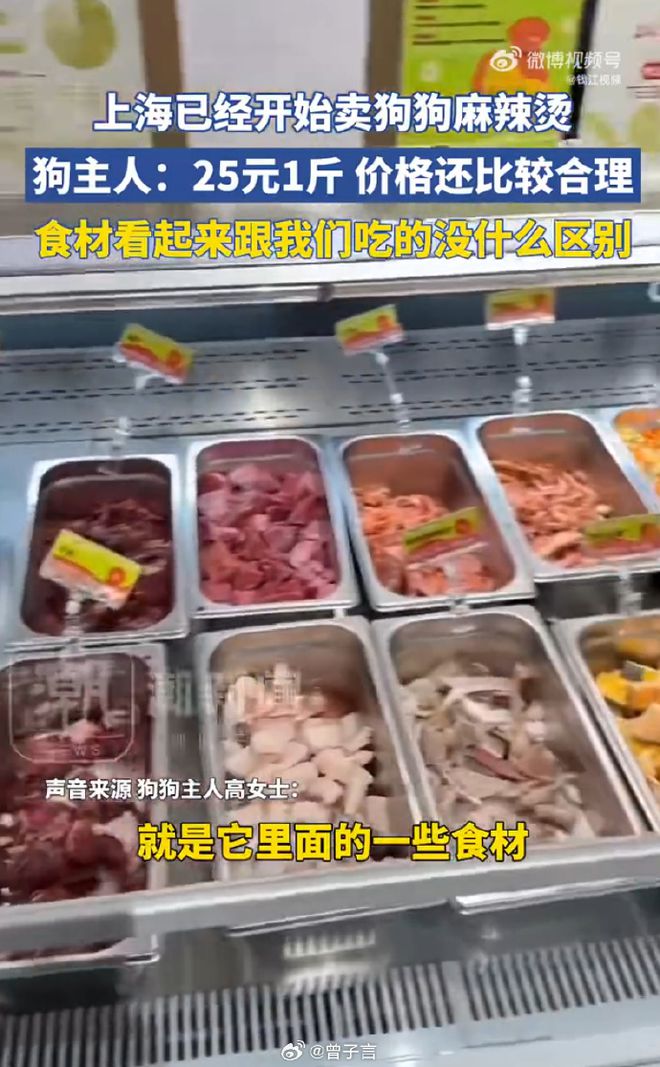 破防了！上海惊现狗狗麻辣烫25一斤全是真肉上海狗有福了！(图8)