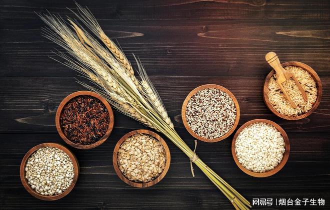“药食同源”如何进一步生活化(图2)