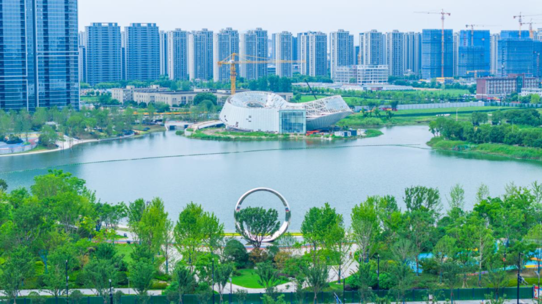 用“一米高度”托举城市未来这里有着“儿童友好”的答案(图14)