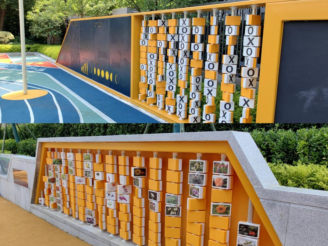 用“一米高度”托举城市未来这里有着“儿童友好”的答案(图22)