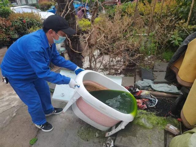 近期春季蚊虫活跃度增强！本市连续37年开展爱国卫生月4月14日至17日各区集中开展春季蚊虫控制(图3)