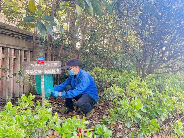 近期春季蚊虫活跃度增强！本市连续37年开展爱国卫生月4月14日至17日各区集中开展春季蚊虫控制(图4)