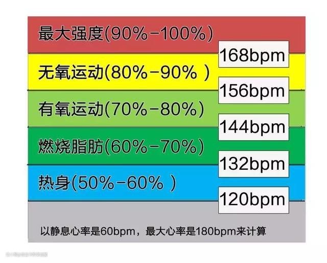 在家也能保持好身材——热销跑步机的性价比之王花落谁家？(图1)