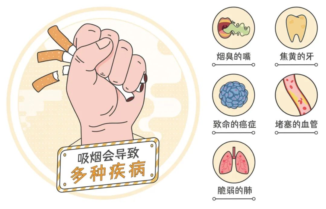 Pg电子平台：从青春开始的“健康倒计时”？早戒烟早获益！科普时间(图1)