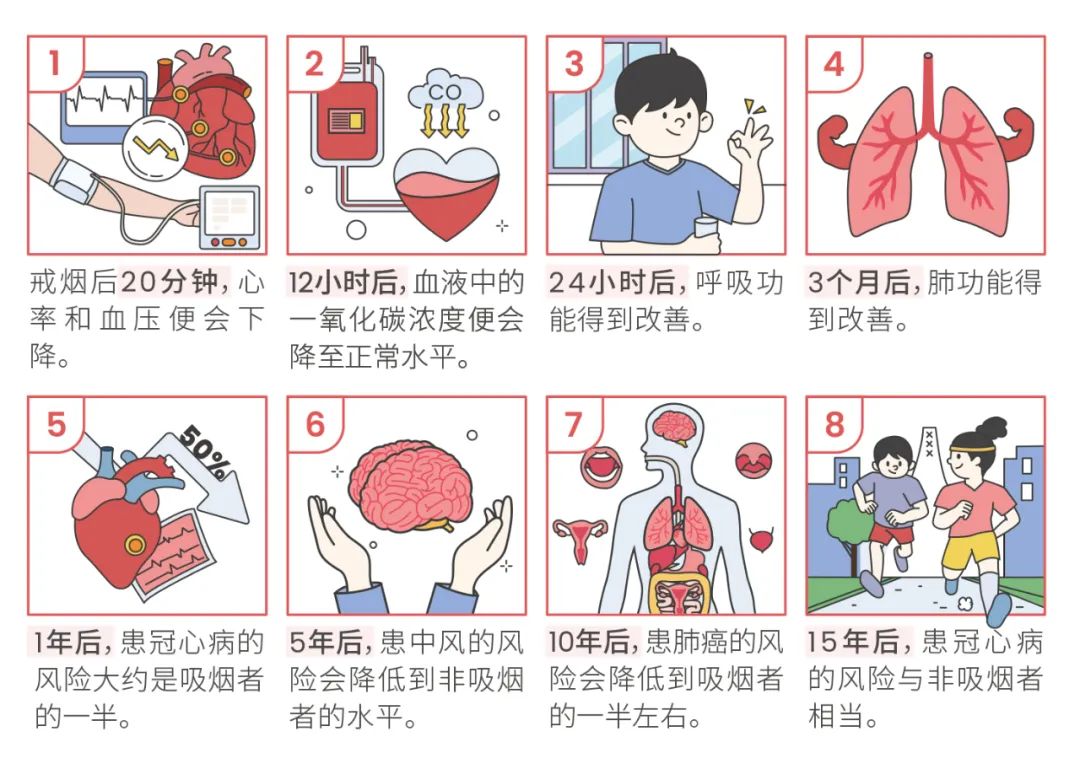 Pg电子平台：从青春开始的“健康倒计时”？早戒烟早获益！科普时间(图2)