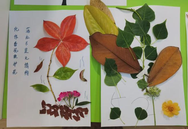 Pg电子平台：信阳职业技术学院学生心理健康宣传教育月活动总结(图19)