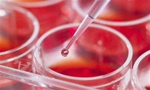 深圳智能健身房火了2022智能健身设备发展前景及市场需求规模分析(图7)